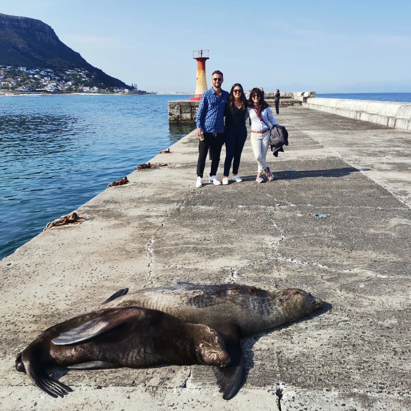 WHO WE ARE_RADZ_KALK BAY PIER WHO WE ARE_RADZ_KALK BAY PIER